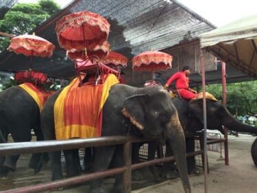 ぞうちゃん（♡▽♡）NOV.2014