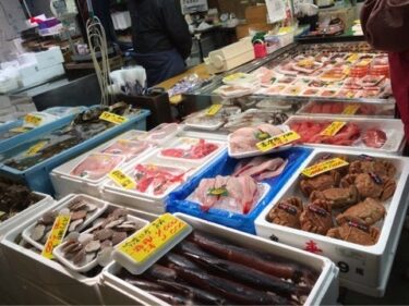 いわき、塩釜、仙台お彼岸　MAR.2016