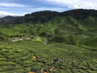 マレーシア縦断の旅  ① JUN.2017