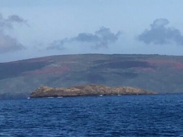 マウイ　モロキニ島へ 　JUN.2018
